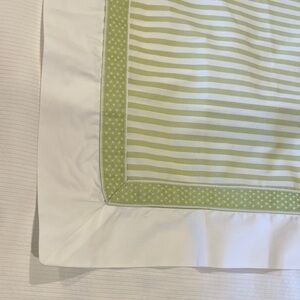New Charisma Euro Sham, Green and White Strips with Trim